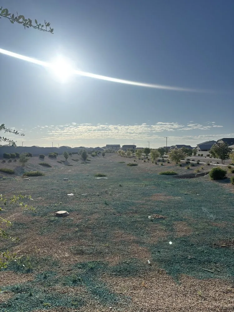 Reliable landscape installation for outdoor upgrades in Glendale, AZ by Western Classics Environmental