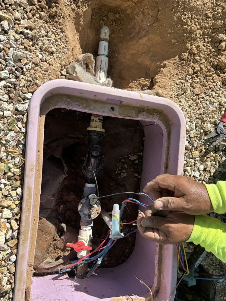 Trusted lawn care service in Glendale, AZ - Western Classics Environmental