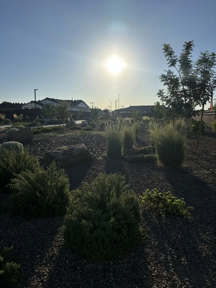 Local landscape installation in Glendale, AZ - Western Classics Environmental