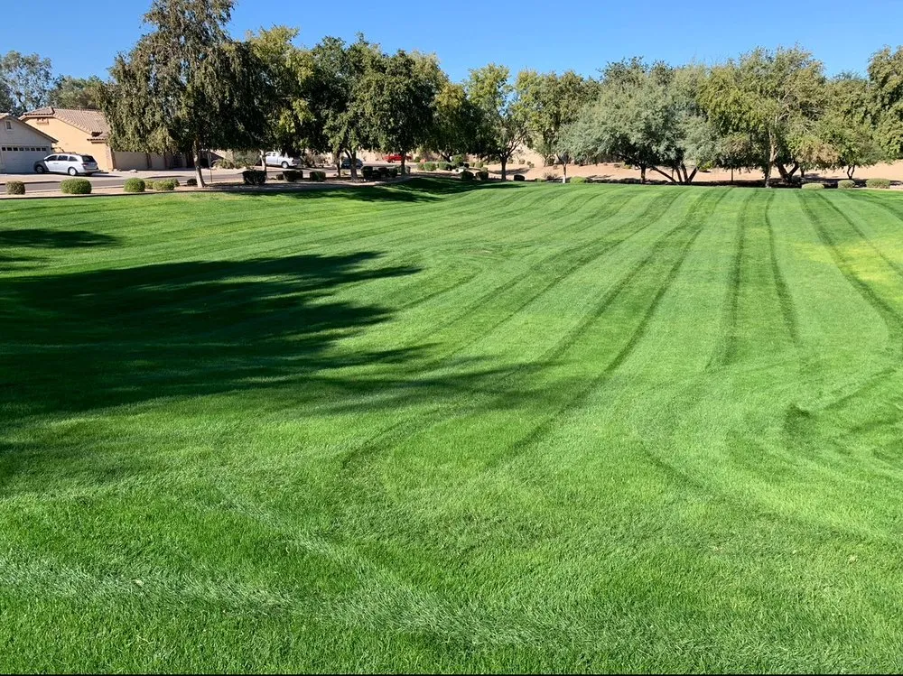 Local lawn mowing service for beautiful yards across Glendale, AZ - Western Classics Environmental