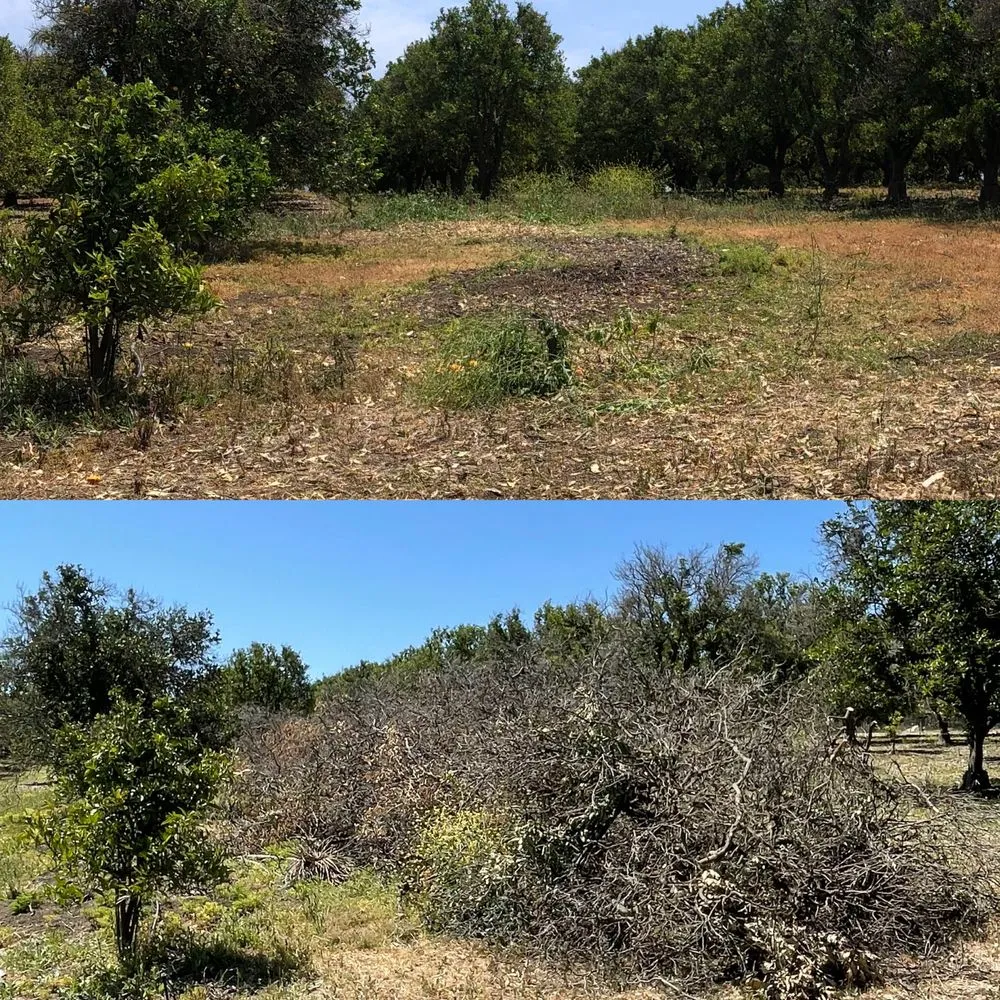 Local landscape design experts serving Ventura, CA - Western Fuels Management