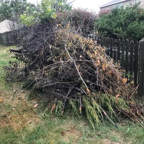 Local yard cleanup service experts serving Ventura, CA - Western Fuels Management