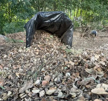 Western Fuels Management Logo