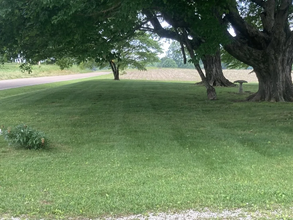 Expert yard maintenance for outdoor upgrades in Paris, TN by Western KY-TN Lawn Care