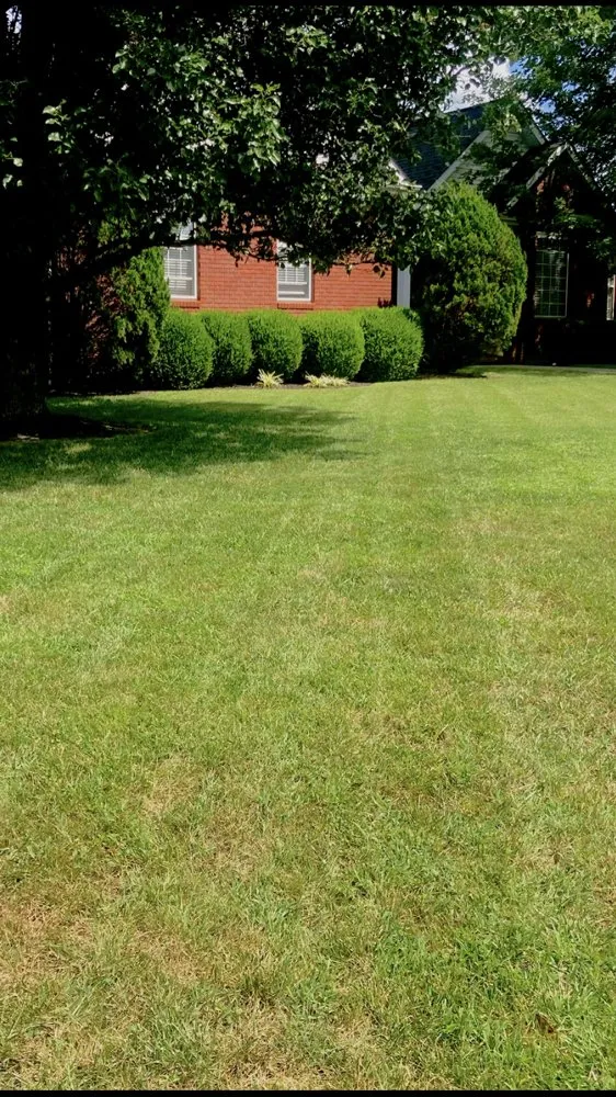 Affordable lawn care service in Paris, TN - Western KY-TN Lawn Care