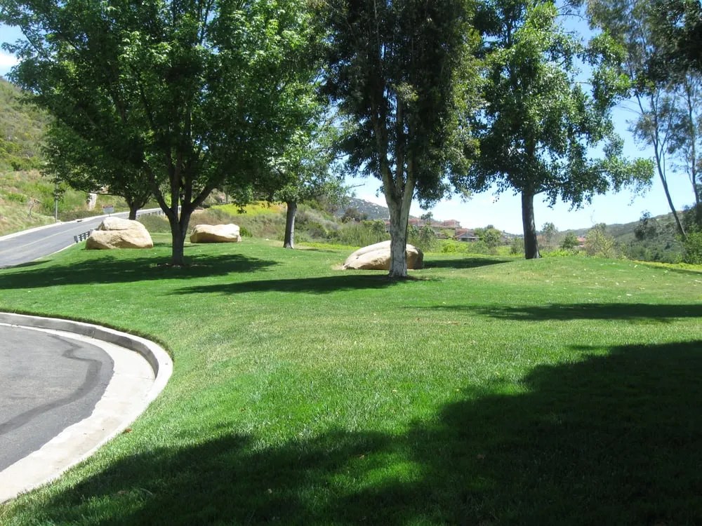 Reliable lawn care service for residential properties across San Clemente, CA - Western Landscape Maintenance Plus