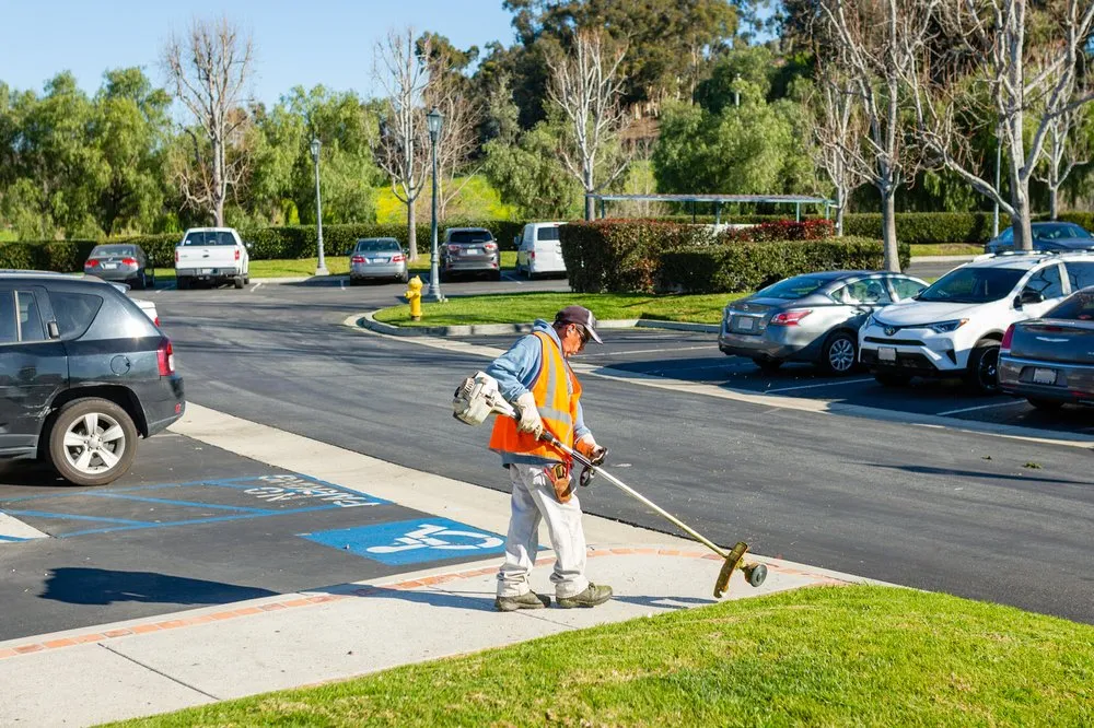 Trusted garden landscaping in San Clemente, CA by Western Landscape Maintenance Plus