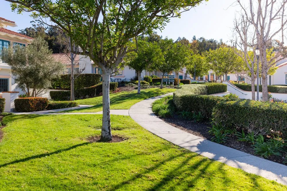 Trusted yard cleanup service for year-round maintenance across San Clemente, CA - Western Landscape Maintenance Plus