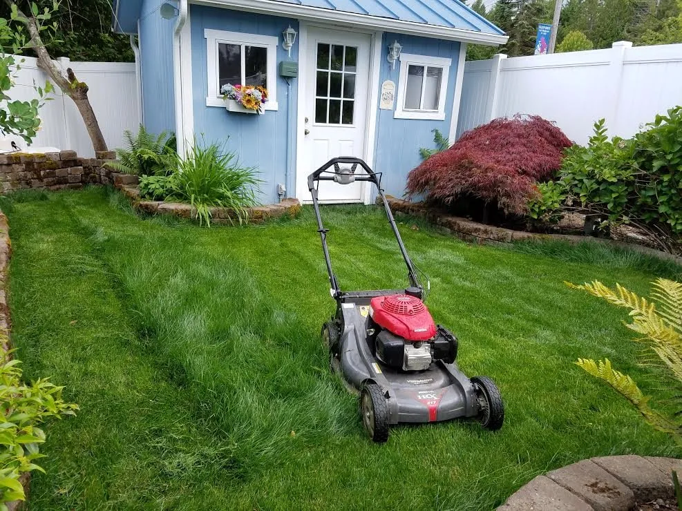 Local landscaping services experts serving Port Orchard, WA - Western Landscaping