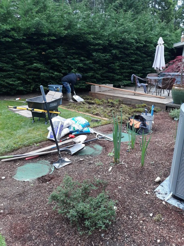 Affordable lawn care service near you in Port Orchard, WA by Western Landscaping