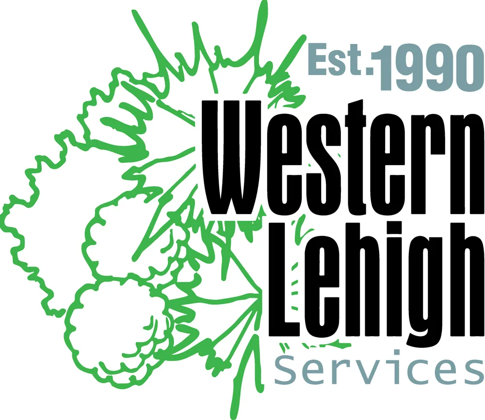 Top-rated yard cleanup service for outdoor upgrades in Allentown, PA by Western Lehigh Services