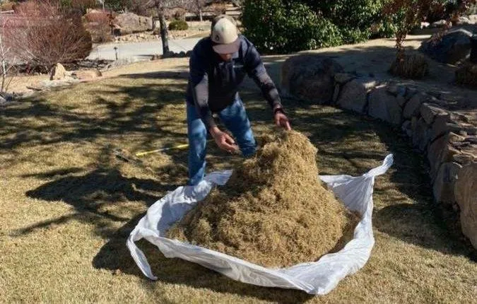 Custom outdoor landscaping in Reno, NV by Western Nevada Lawns