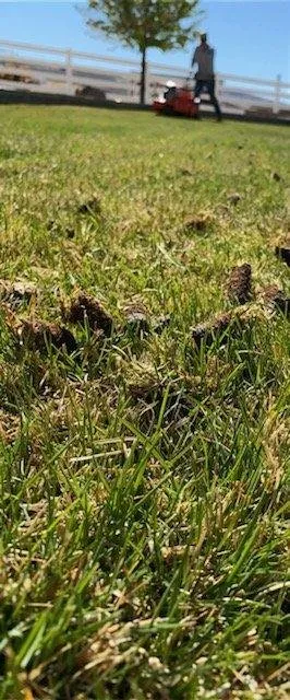 Trusted outdoor landscaping near you across Reno, NV - Western Nevada Lawns