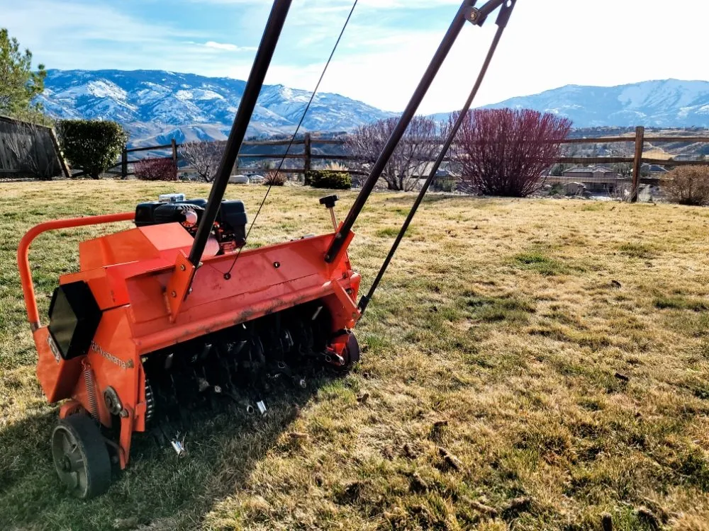 Professional garden landscaping in Reno, NV - Western Nevada Lawns