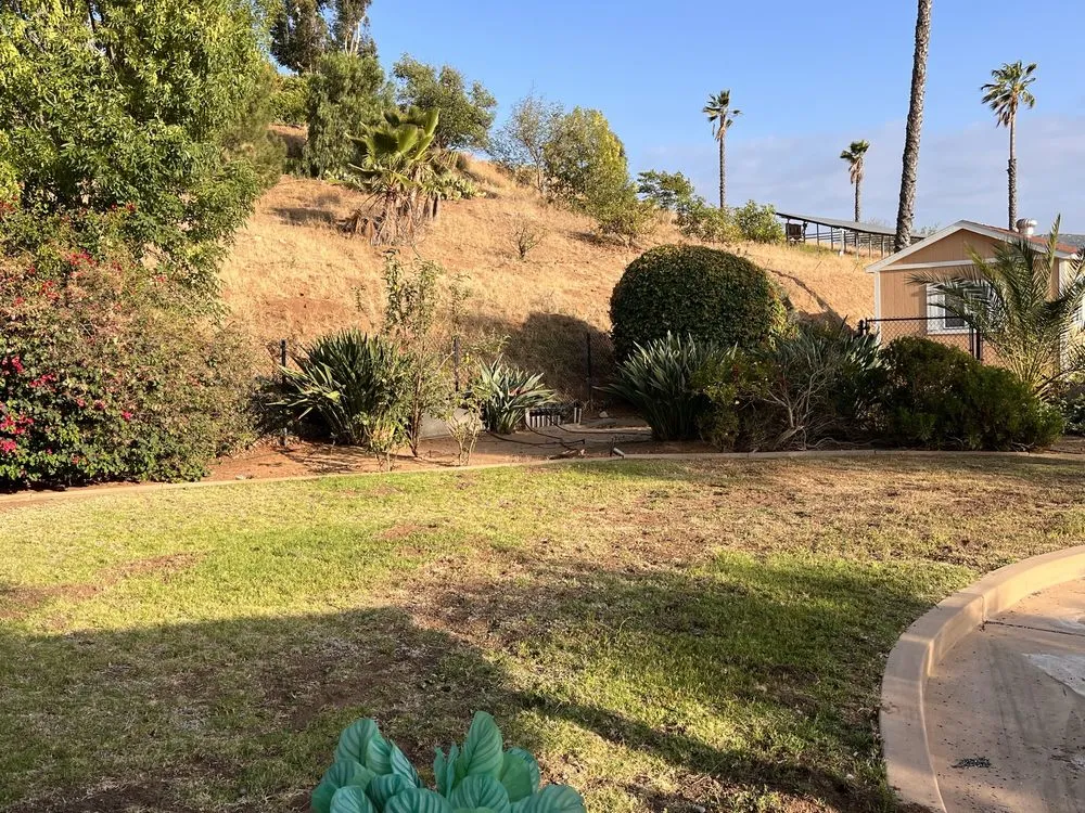 Affordable lawn care service in San Marcos, CA by Western Outdoor Design and Build
