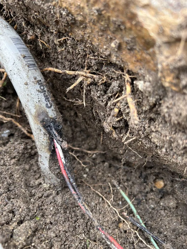 Custom yard maintenance in San Marcos, CA - Western Pavers