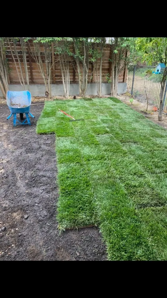 Professional landscape design for homes across Boulder, CO - Western Property Maintenance