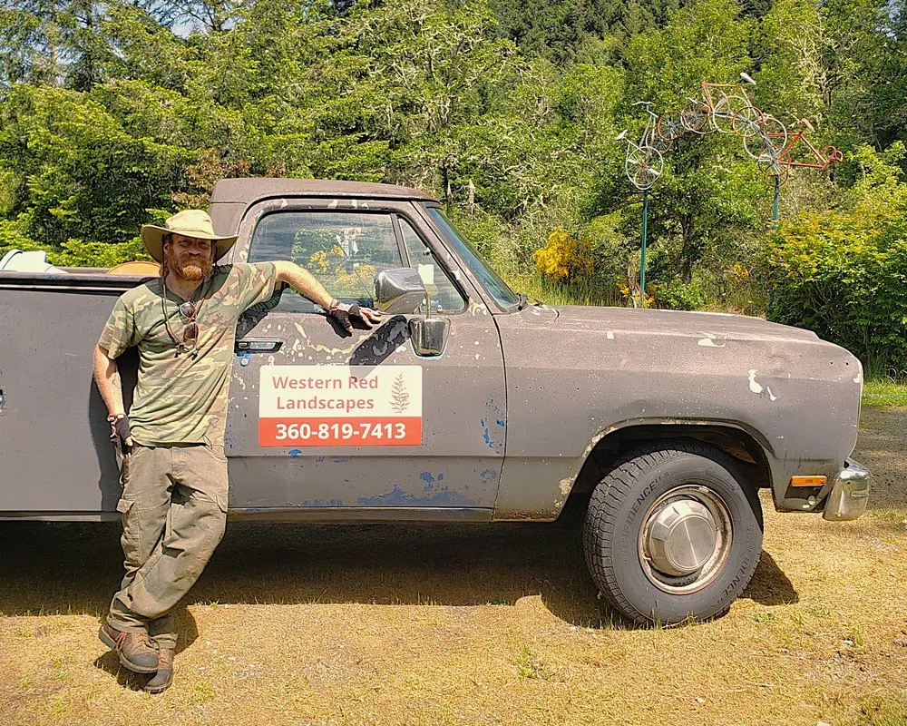 Expert lawn care service for homes across Olympia, WA - Western Red Landscapes