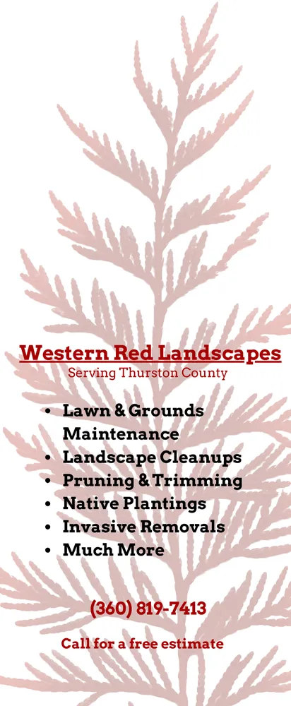 Expert landscape installation in Olympia, WA - Western Red Landscapes
