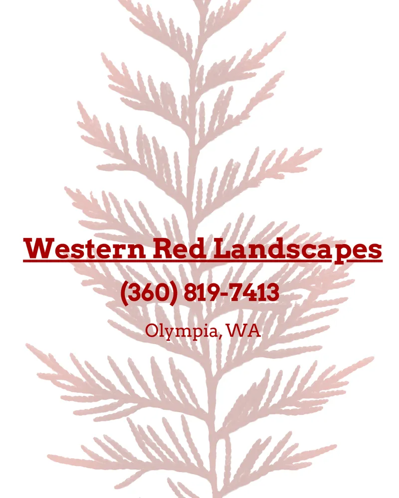 Local yard maintenance experts serving Olympia, WA - Western Red Landscapes