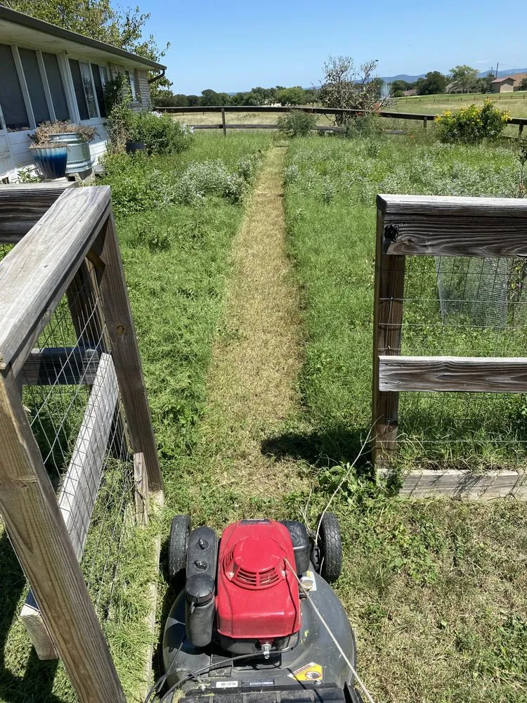 Reliable outdoor landscaping for year-round maintenance across Bandera, TX - Western Roots Lawn Care Service