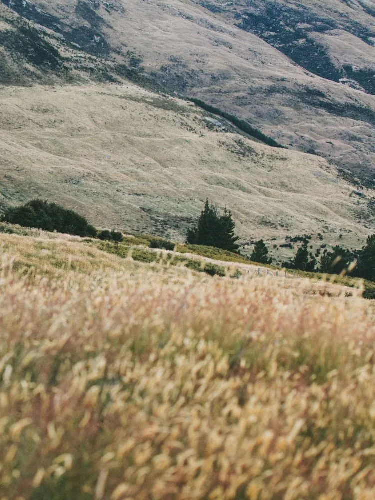 Affordable yard maintenance in Bozeman, MT - Western Skies Landscapes