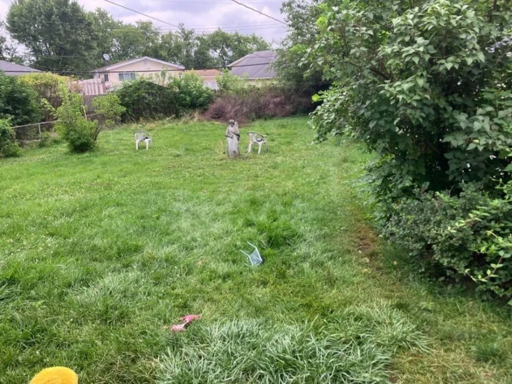 Affordable yard cleanup service for outdoor upgrades across Highland, IN - Western Sunrise Landscaping