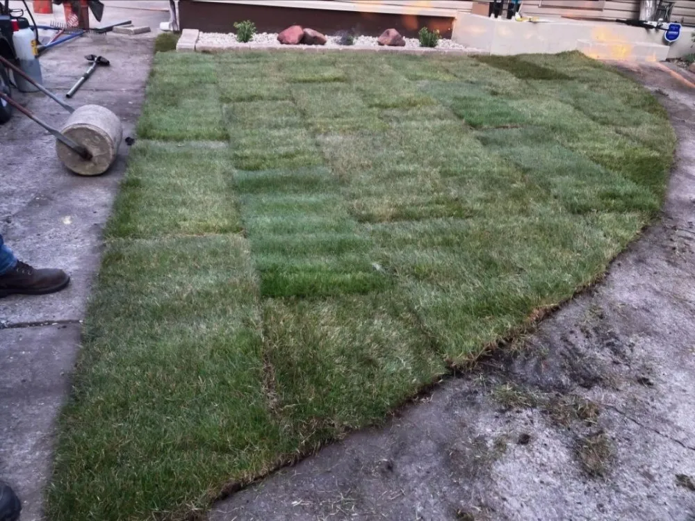 Trusted yard maintenance experts serving Highland, IN - Western Sunrise Landscaping
