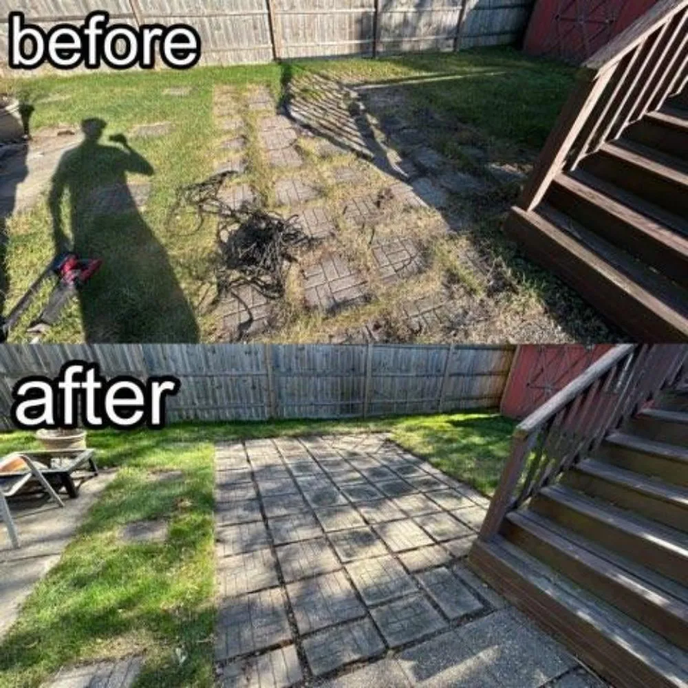 Expert lawn care service experts serving Highland, IN - Western Sunrise Landscaping