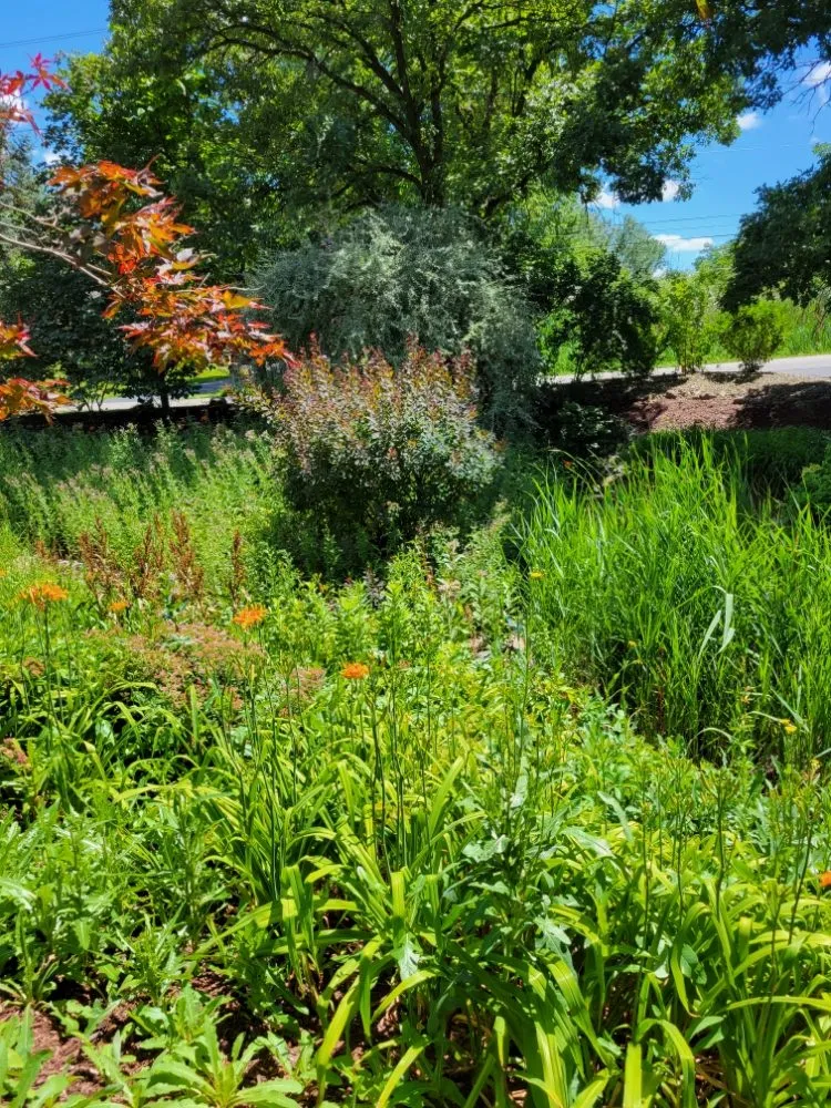 Professional garden landscaping in Highland, IN - Western Sunrise Landscaping