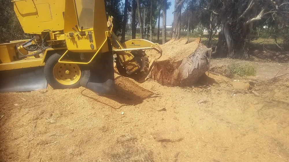 Local landscape design in Orcutt, CA - Western Tree Service