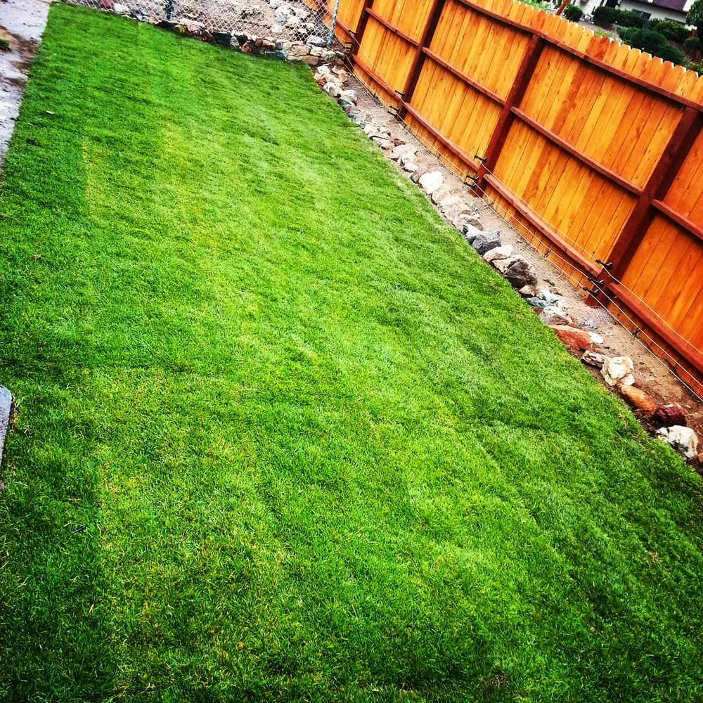 Trusted landscaping services for residential properties across Reno, NV - Western Turf & Hardscapes