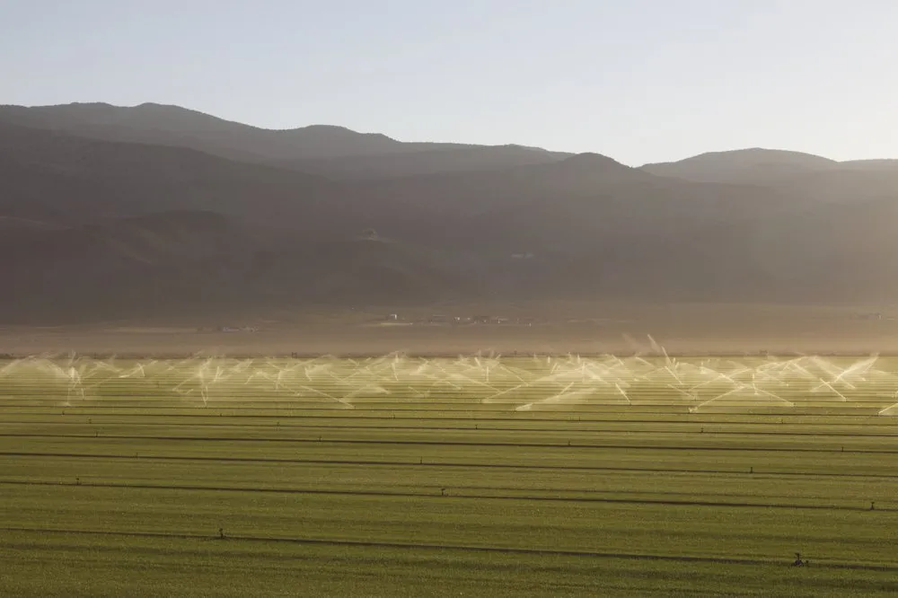 Local residential landscaping in Reno, NV - Western Turf & Hardscapes