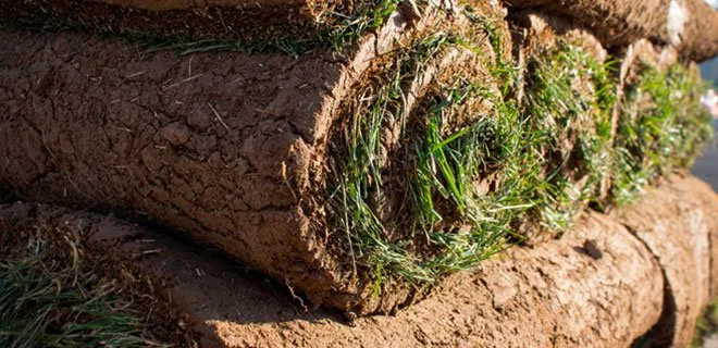 Affordable landscaping services in Reno, NV by Western Turf & Hardscapes