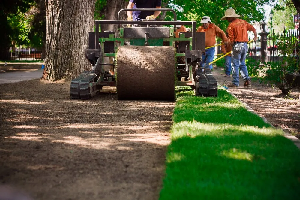 Reliable landscaping services for beautiful yards across Reno, NV - Western Turf & Hardscapes