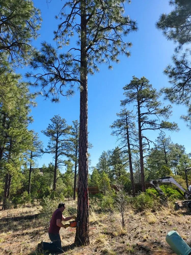 Affordable landscape installation for beautiful yards across Wickenburg, AZ - Western View Landscaping