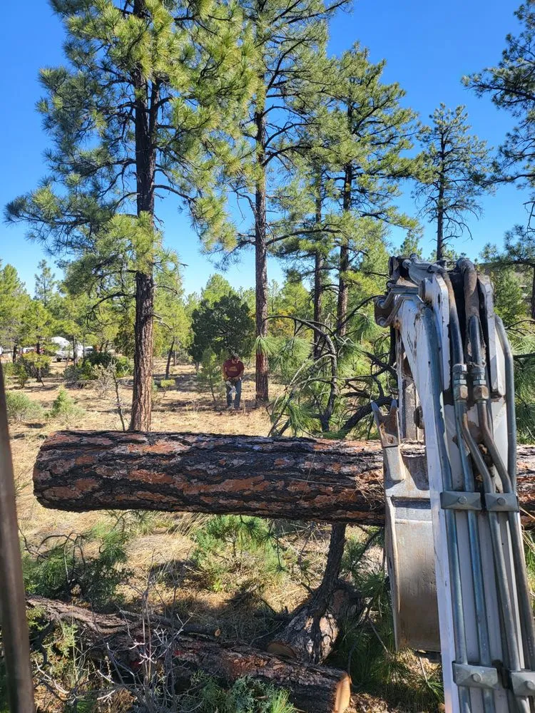 Reliable landscaping services in Wickenburg, AZ - Western View Landscaping