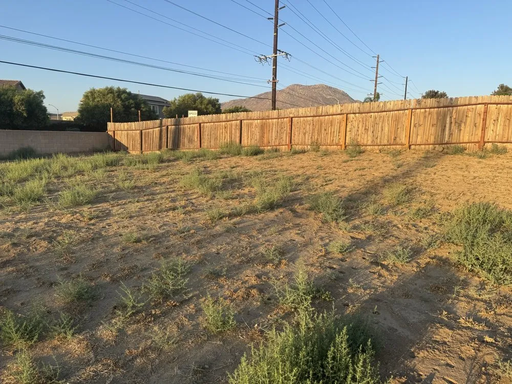 Local yard cleanup service in Hemet, CA by Western Weed Abatement