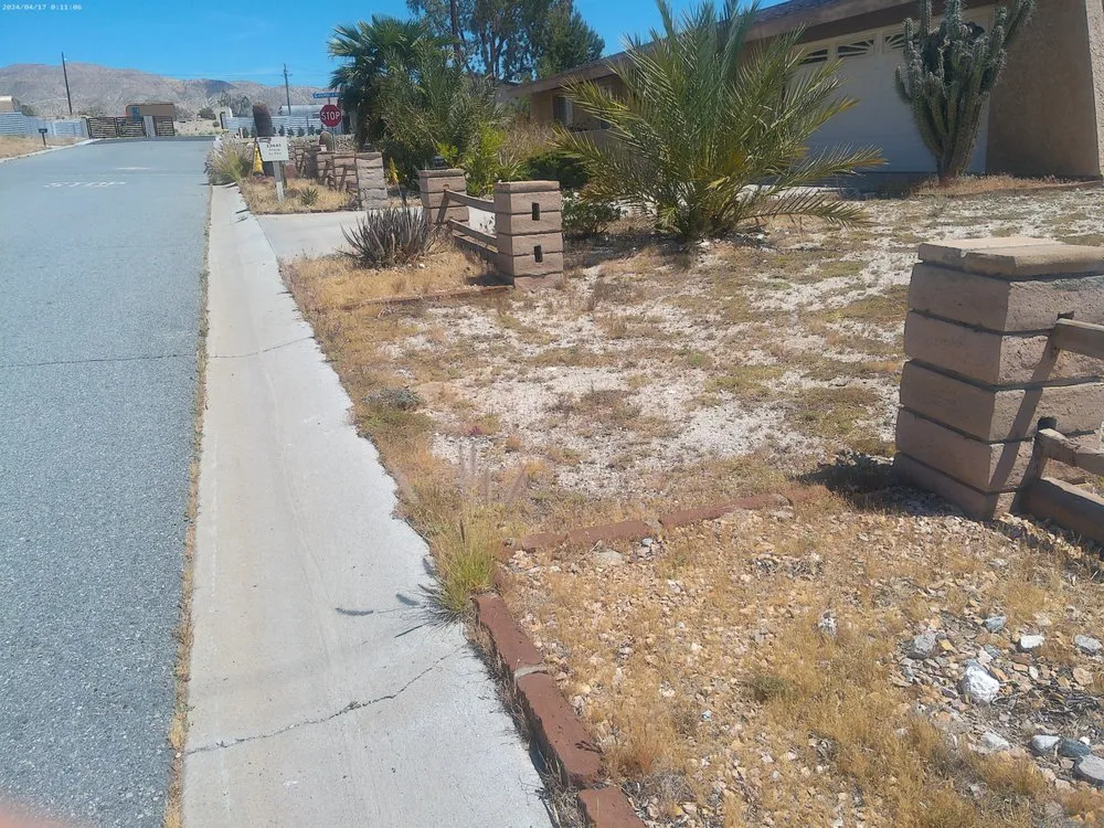 Affordable yard maintenance in Hemet, CA by Western Weed Abatement