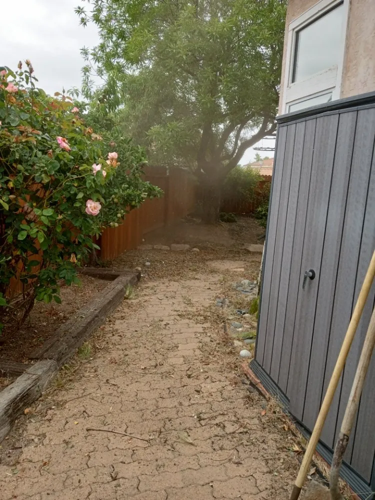 Reliable landscape design in Hemet, CA - Western Weed Abatement