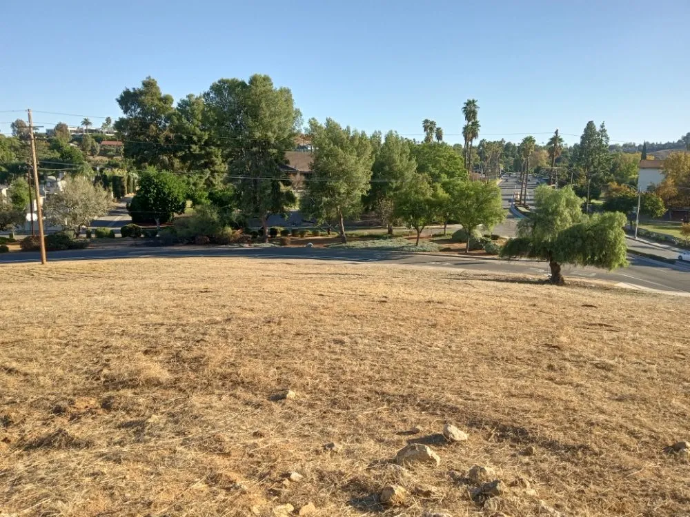Professional yard cleanup service for year-round maintenance in Hemet, CA by Western Weed Abatement