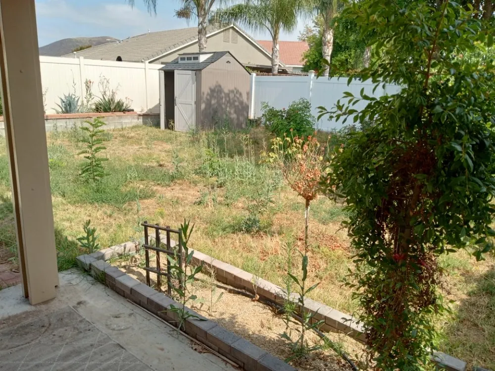 Reliable lawn mowing service experts serving Hemet, CA - Western Weed Abatement