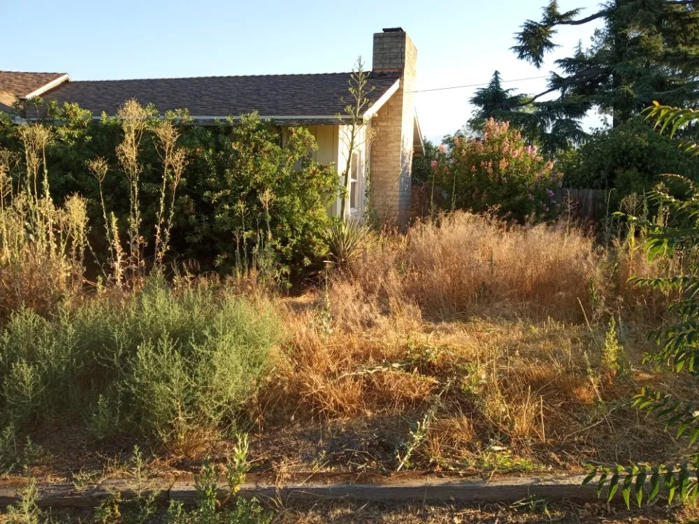 Custom landscape installation for outdoor upgrades across Hemet, CA - Western Weed Abatement
