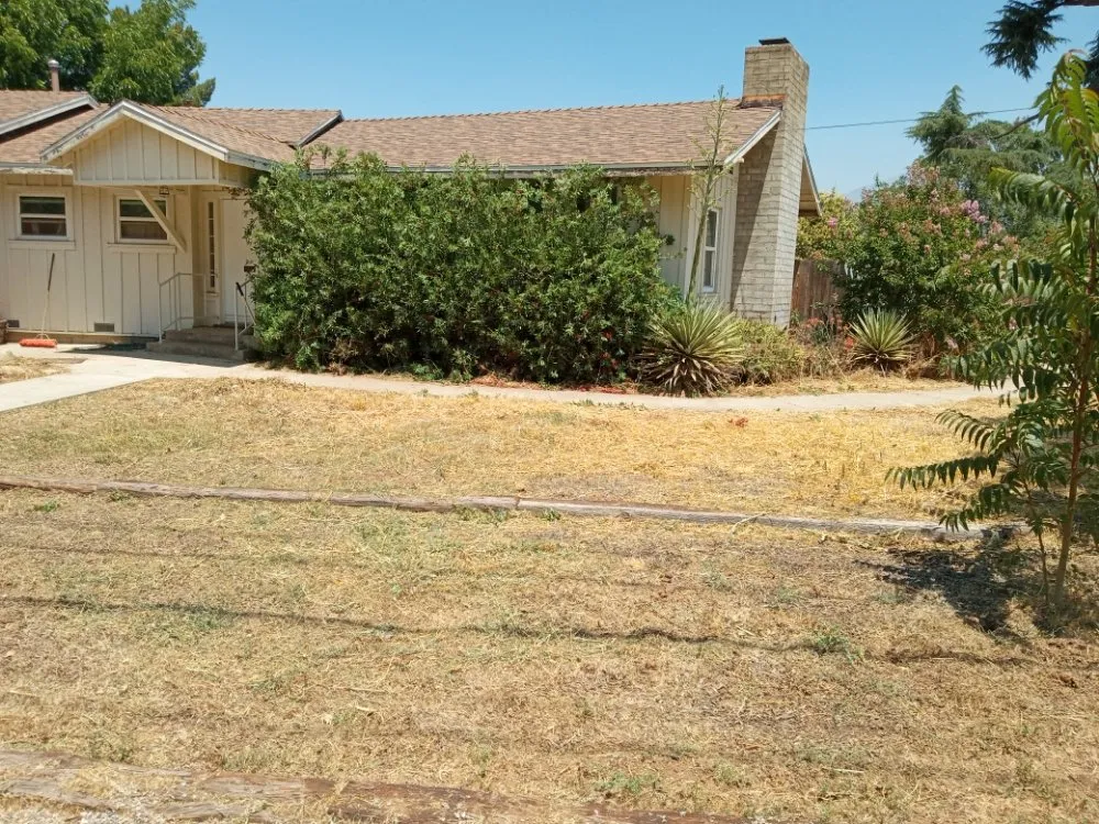 Custom yard cleanup service in Hemet, CA by Western Weed Abatement