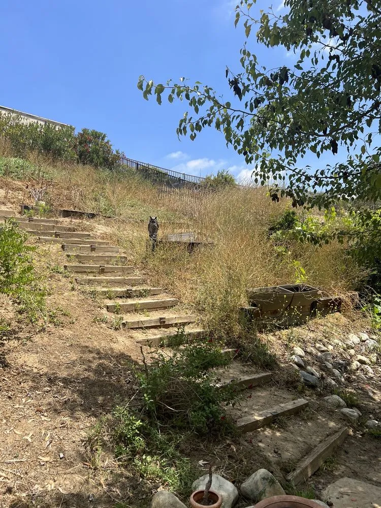 Expert residential landscaping in Hemet, CA by Western Weed Abatement