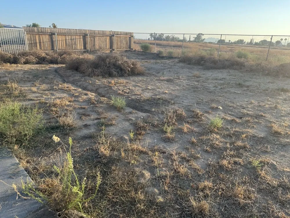 Affordable outdoor landscaping in Hemet, CA by Western Weed Abatement