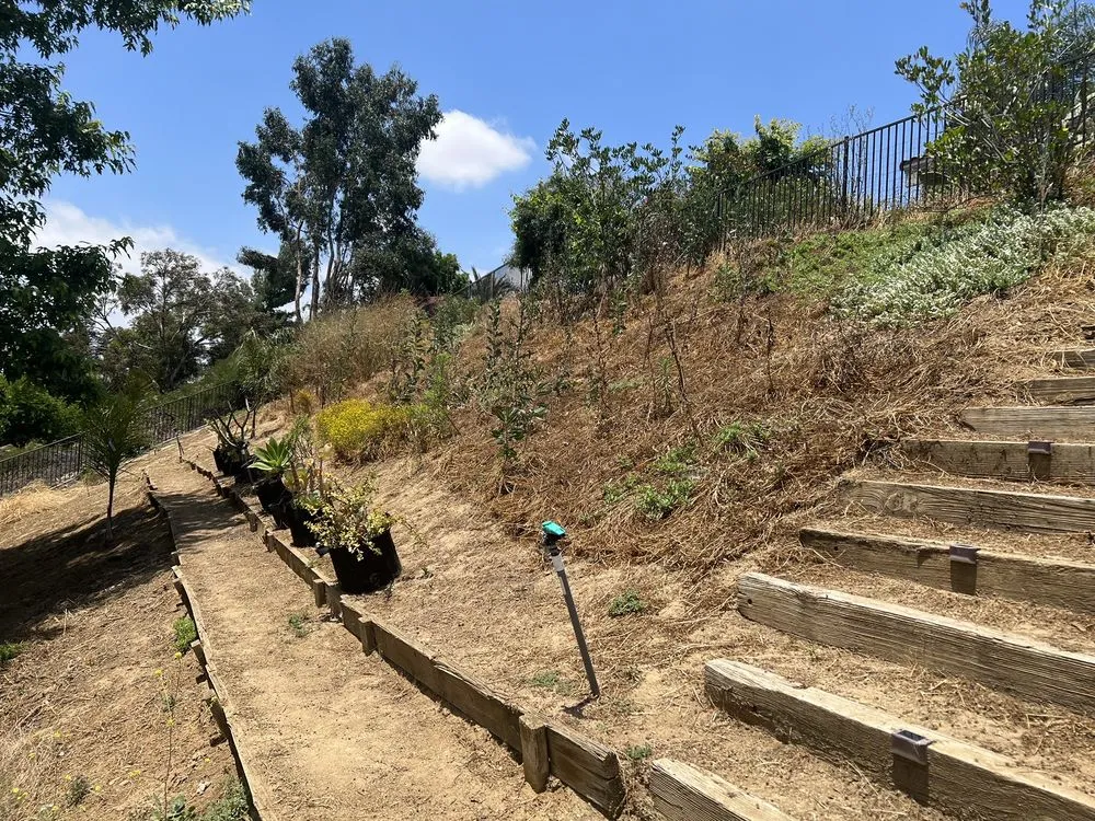 Reliable landscape design for beautiful yards across Hemet, CA - Western Weed Abatement