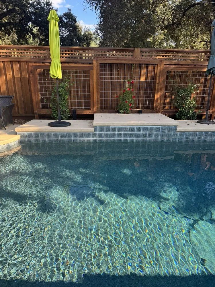 Expert yard cleanup service for year-round maintenance in Sacramento, CA by Western Willows Landscaping