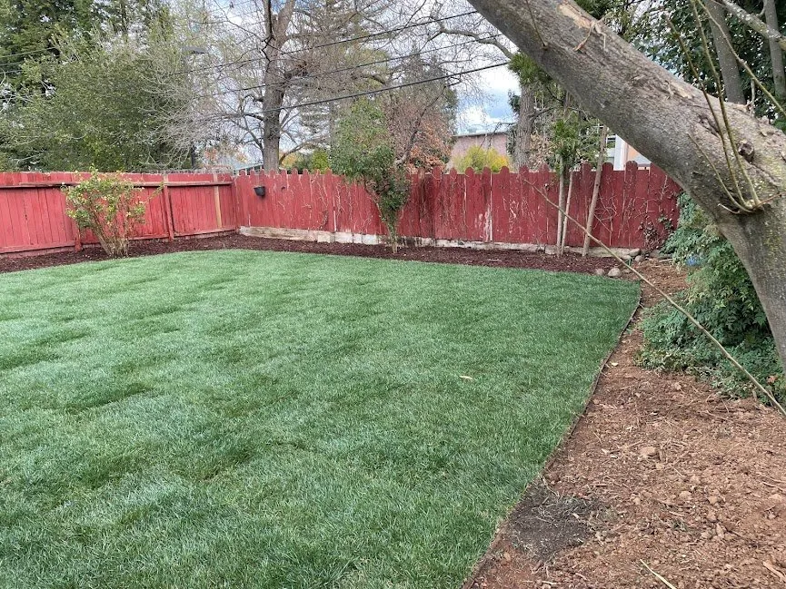 Affordable landscaping services in Sacramento, CA by Western Willows Landscaping
