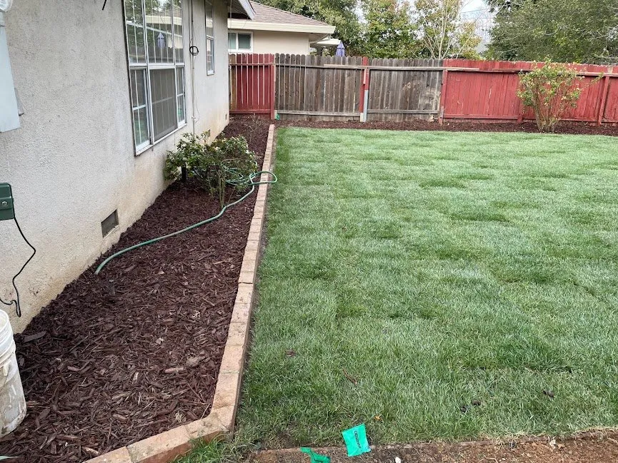 Expert lawn care service experts serving Sacramento, CA - Western Willows Landscaping